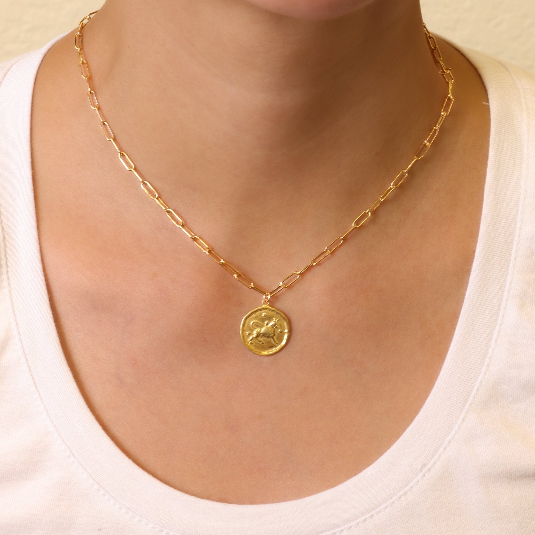 Zodiac Necklace - GoldandWillow