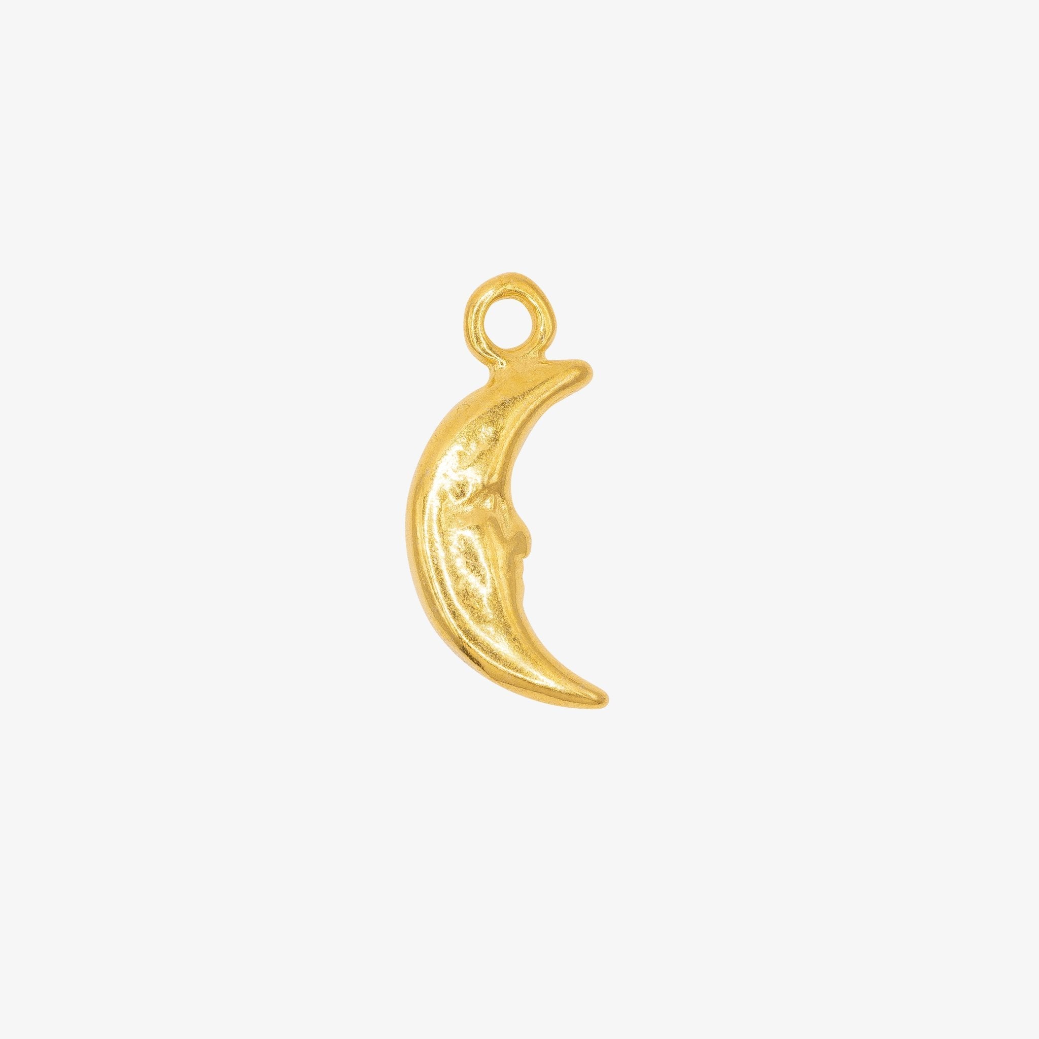 Crescent Moon Face Charm 14K Gold - GoldandWillow