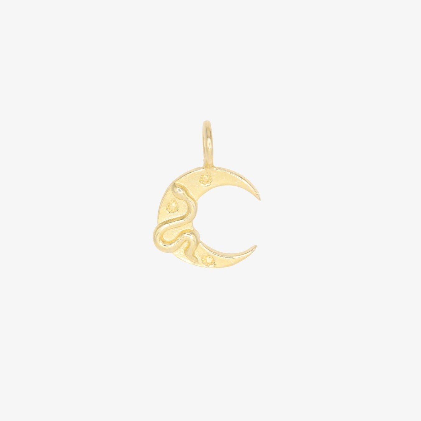 Crescent Moon with Snake Charm 14K Gold - GoldandWillow