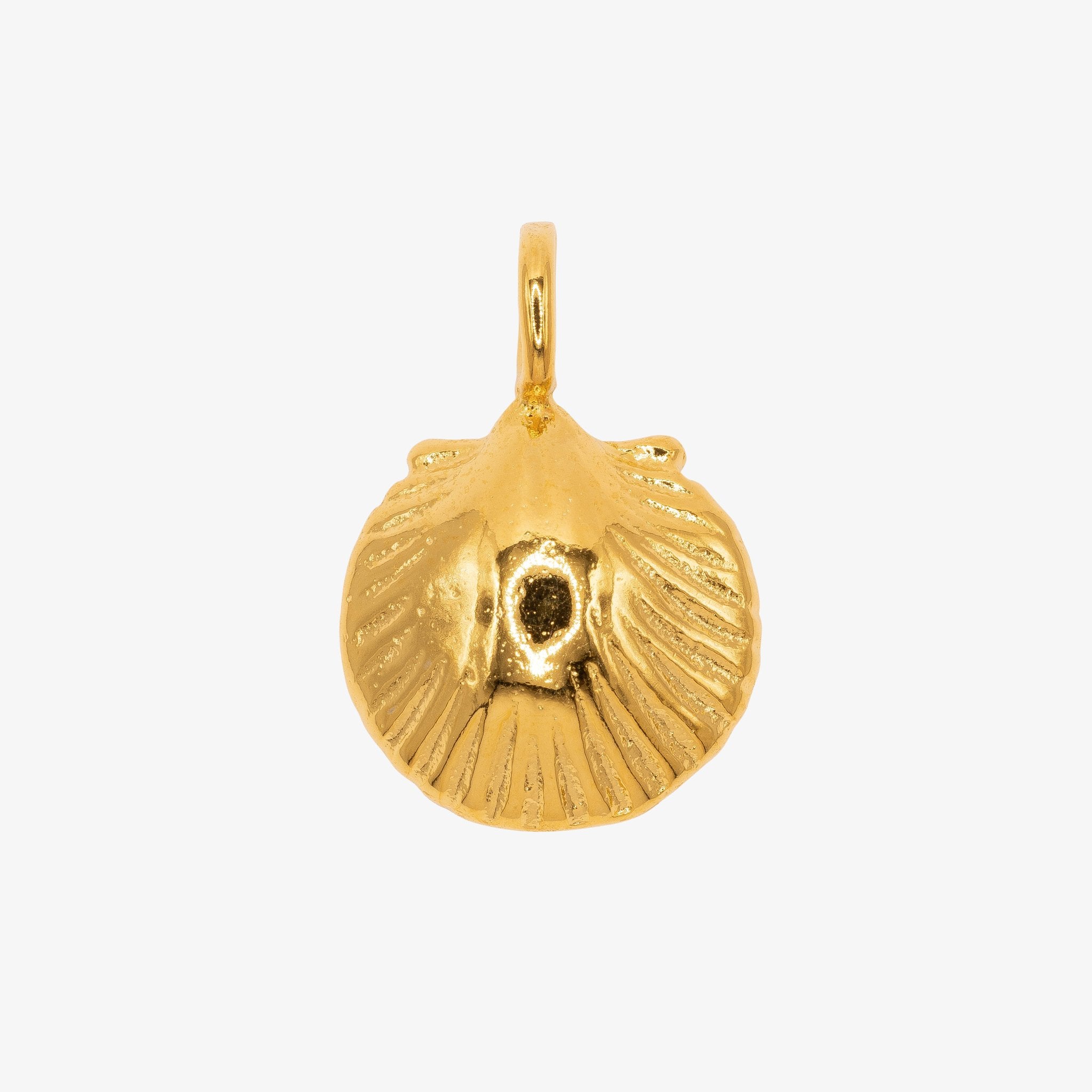 Sea Shell Charm 14K Gold - GoldandWillow